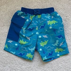 Dinosaur Print Diaper Swim Trunks
